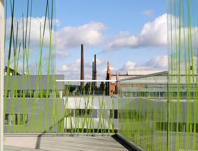 Die Außengeländer GM RAILING® UNI SOLO Glasgeländer mit Gras-Bedruckung.